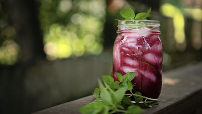 Blueberry Mojito Cocktail